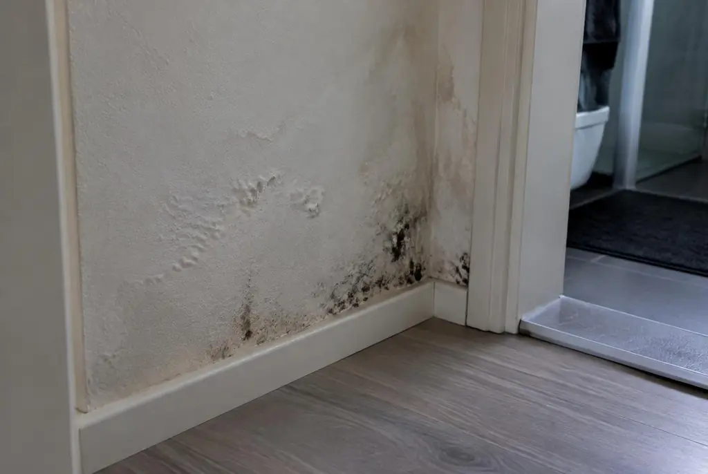 Lekdetectie Duiven – vochtplek met schimmel op een muur